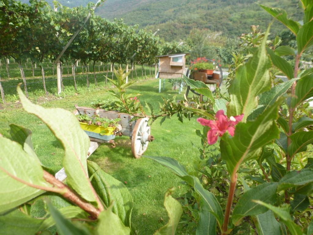 Vila Agritur Maso Fontane Arco Exteriér fotografie